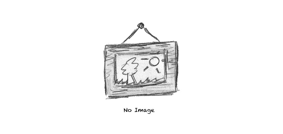 Post with custom slideshow